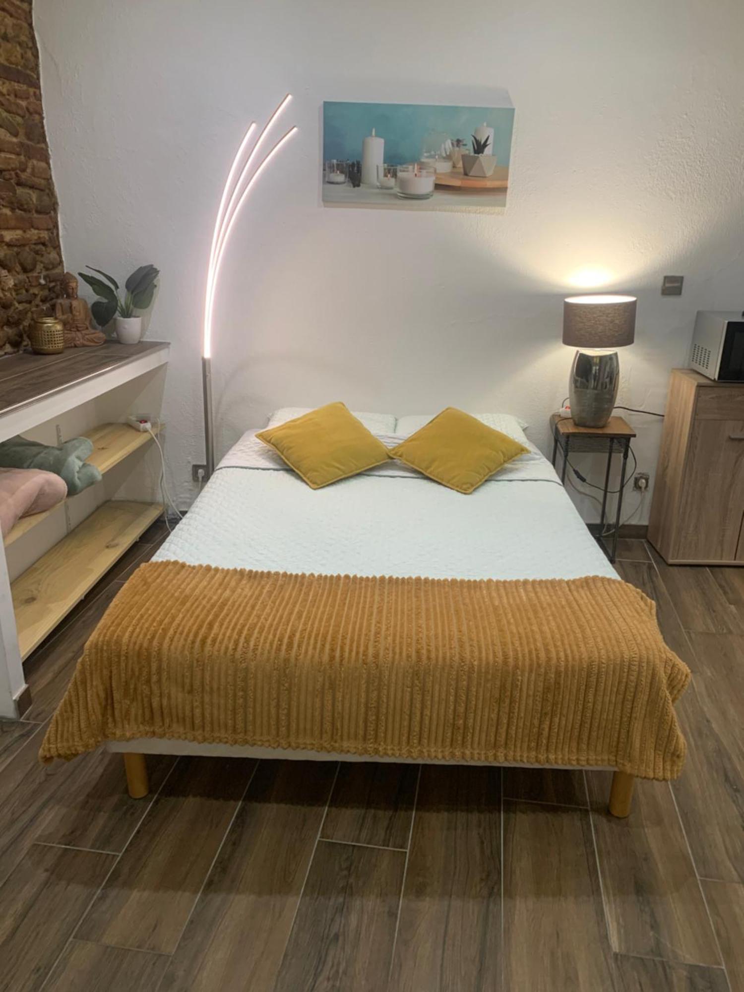 Studio 25M2 En Plein Coeur De Perpignan Eksteriør bilde